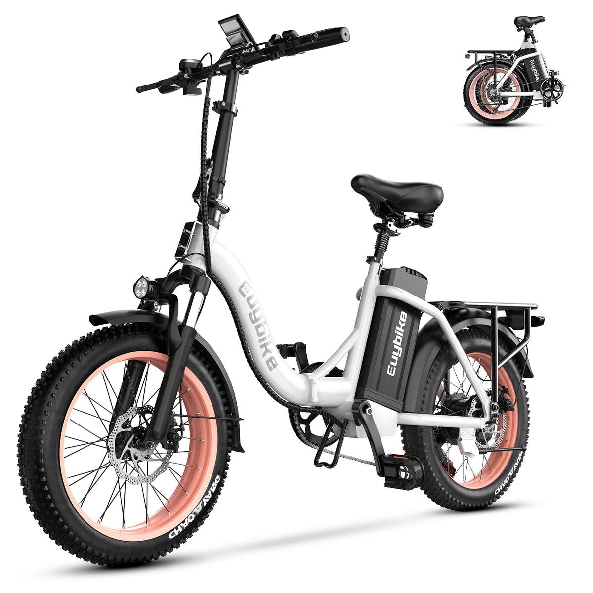 Folding Electric Bike for Adults with 1000W Peak Motor, 48V 20AH Battery up to 80 Miles, 20