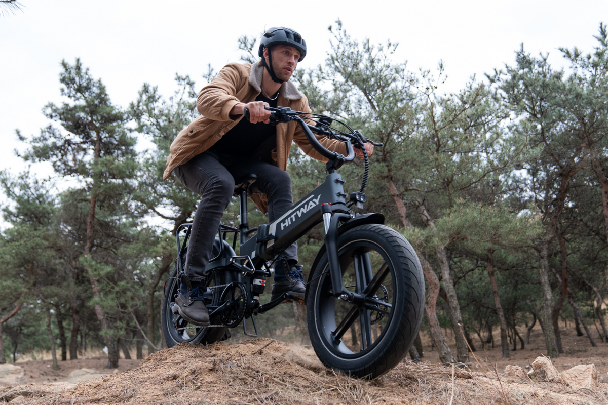 BK10S PRO Folding Electric Bike