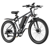 BK15PL 29 inch Electric Bike