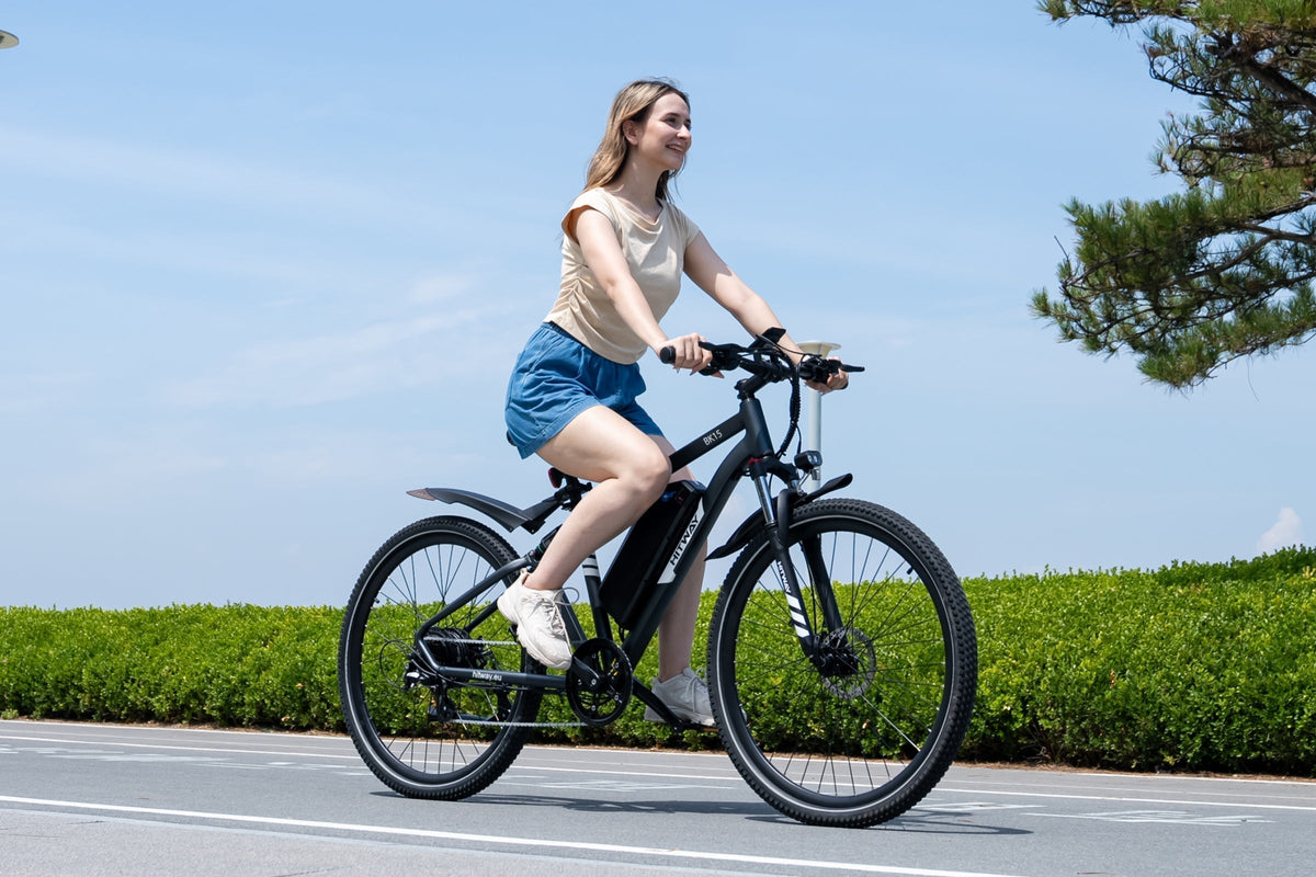 BK15PL 29 inch Electric Bike